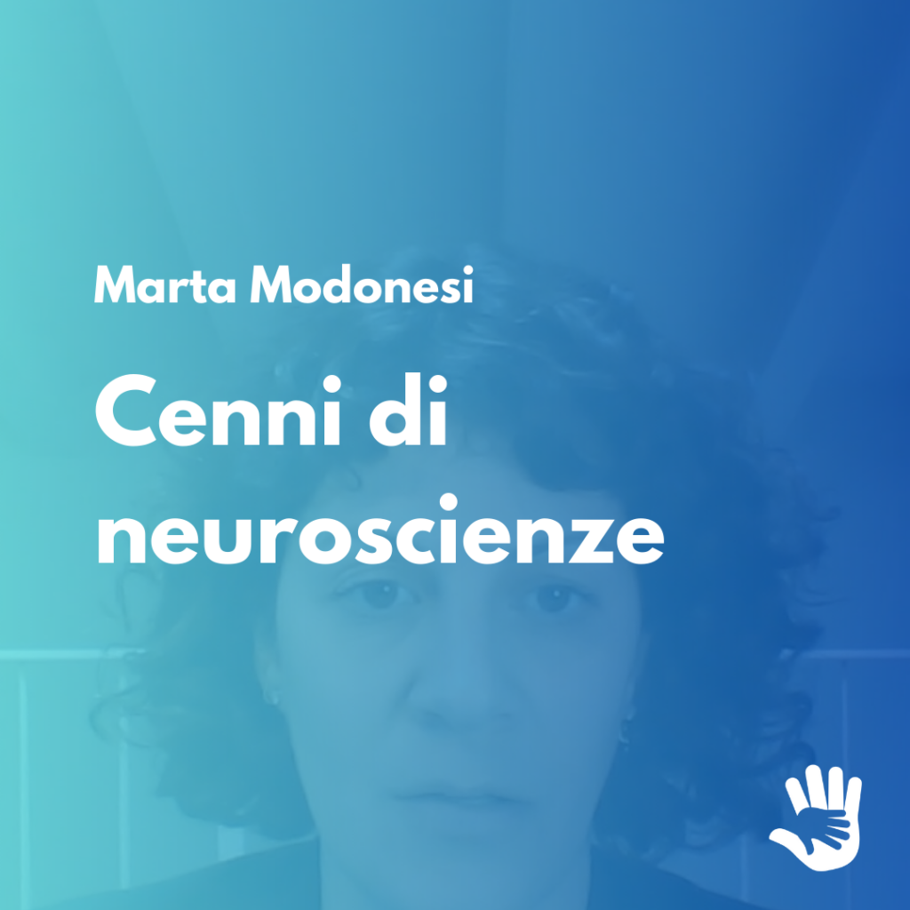 Modonesi - cenni di neuroscienze